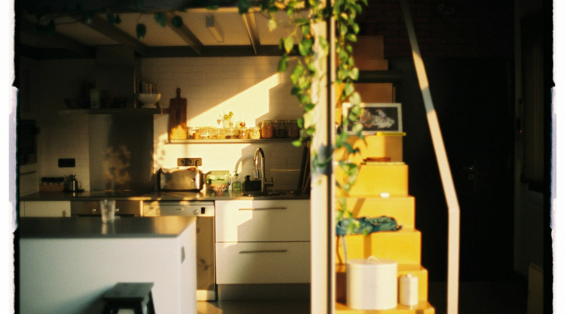 Sunlight streaming into a calm modern kitchen, the everyday setting for comparing hemp seed oil and CBD oil